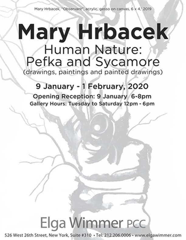 Mary Hrbacek - Exhibitions